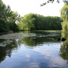 River Klatovskc Rameno